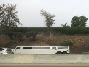 これもリムジン? これもリムジン?