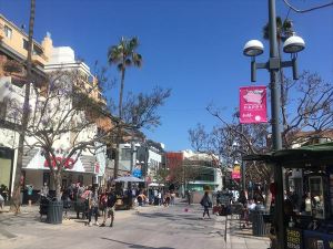 Jacaranda at 3rd St. in Santa Monica