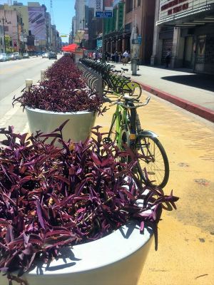 Rental Bike at LA downtown