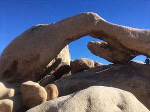 The Arch in Joshua Tree NP
